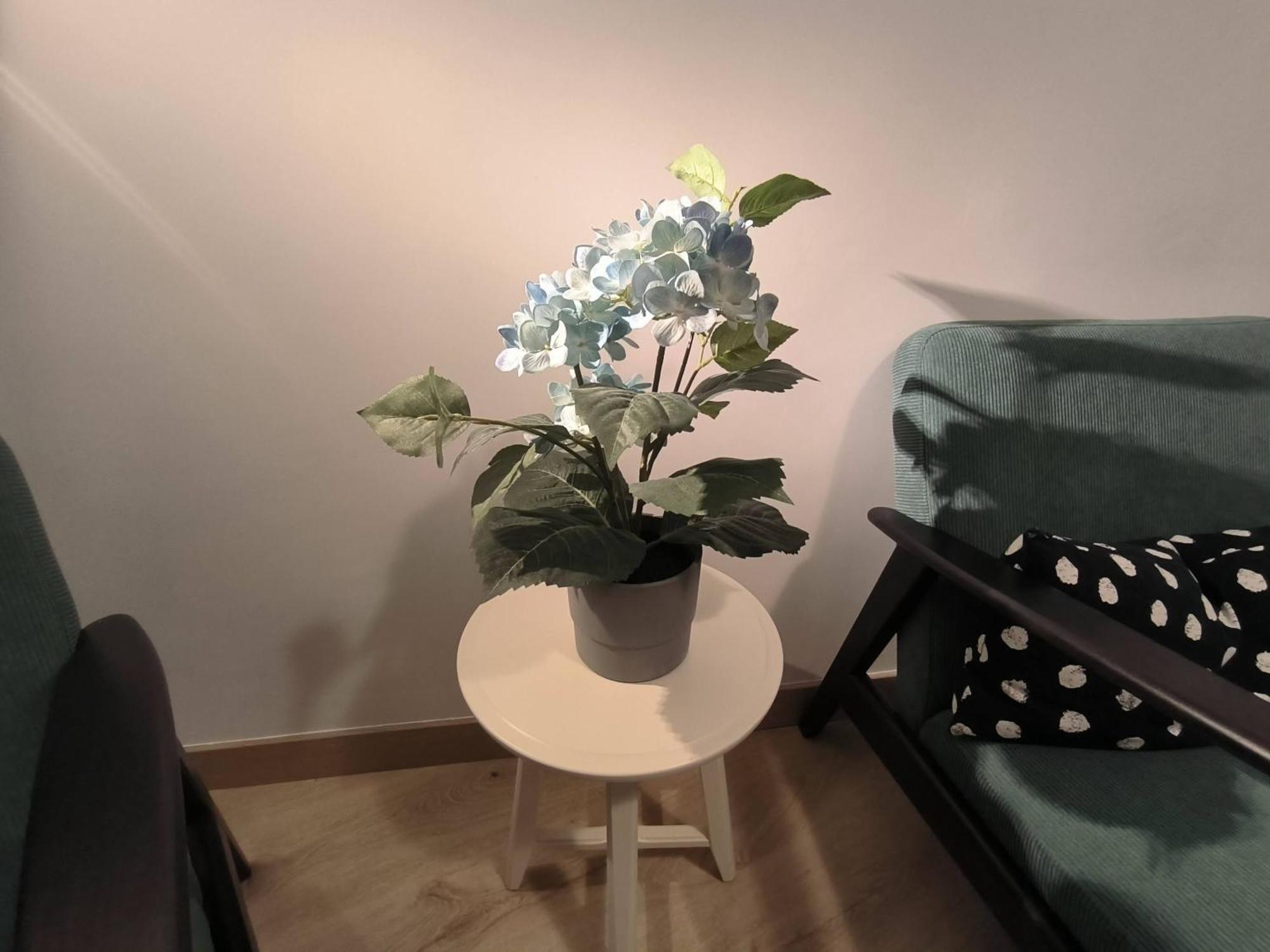 Apartamento Zabala Conoce Bilbao Desde Dentro Extérieur photo